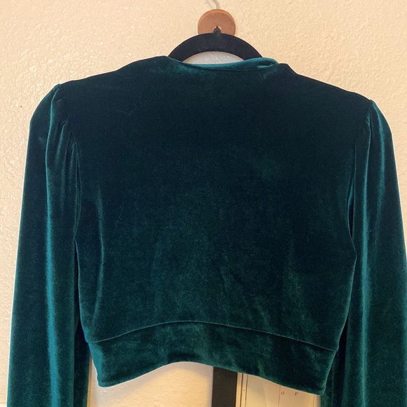 Scorpio Rising Emerald Velvet Crop - Picture 5 of 5